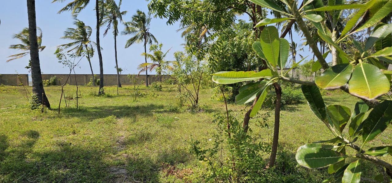 Prime Commercial Lot